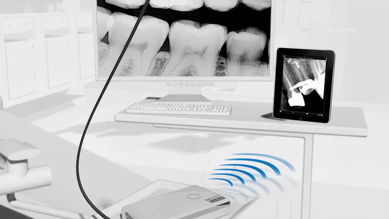 Interview Start for new Doctor