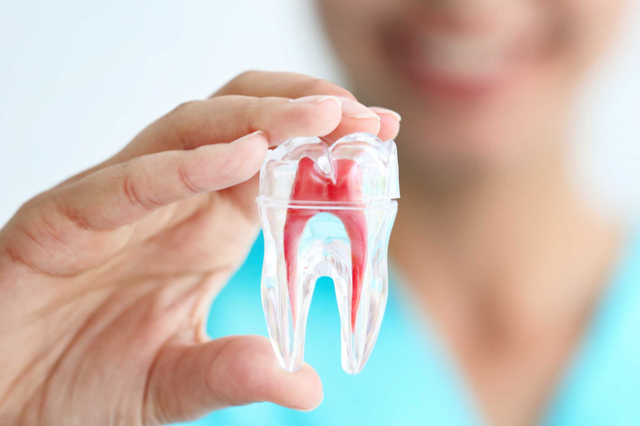 Interview Start for new Doctor